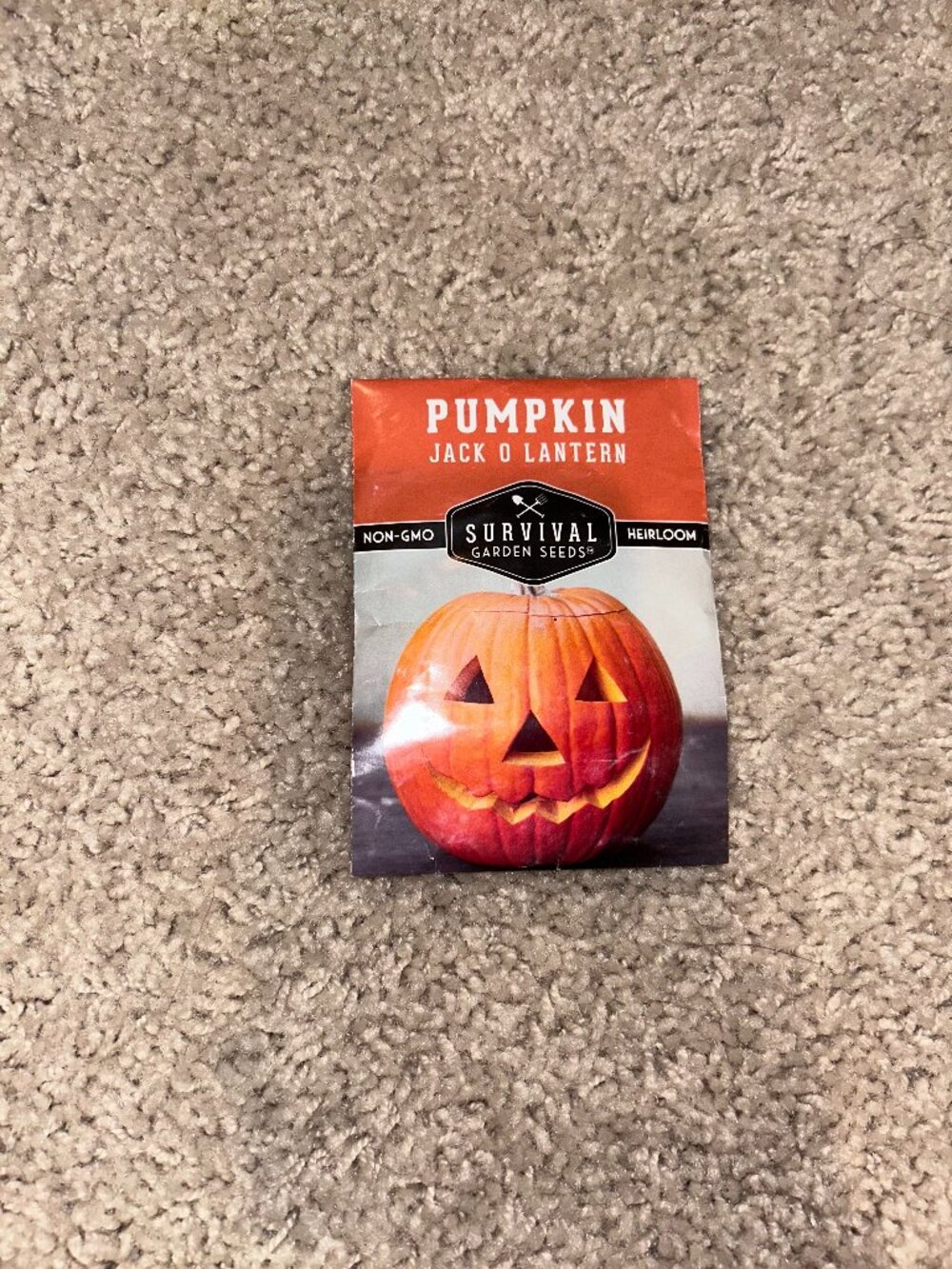 Pumpkin seeds